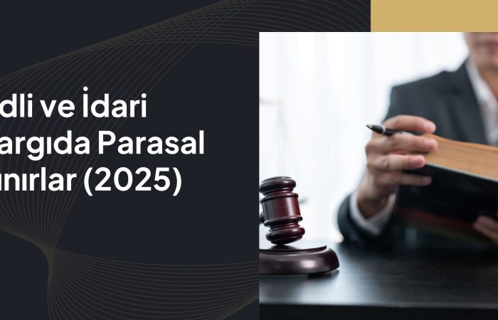 Adli ve İdari Yargıda Parasal Sınırlar