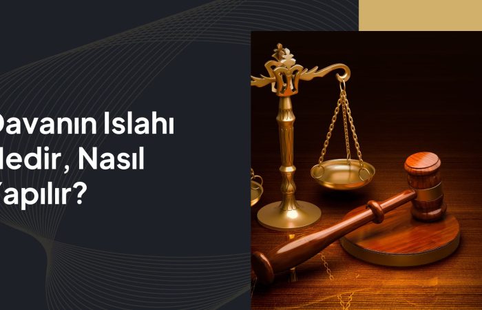 davanın ıslahı nasıl yapılır