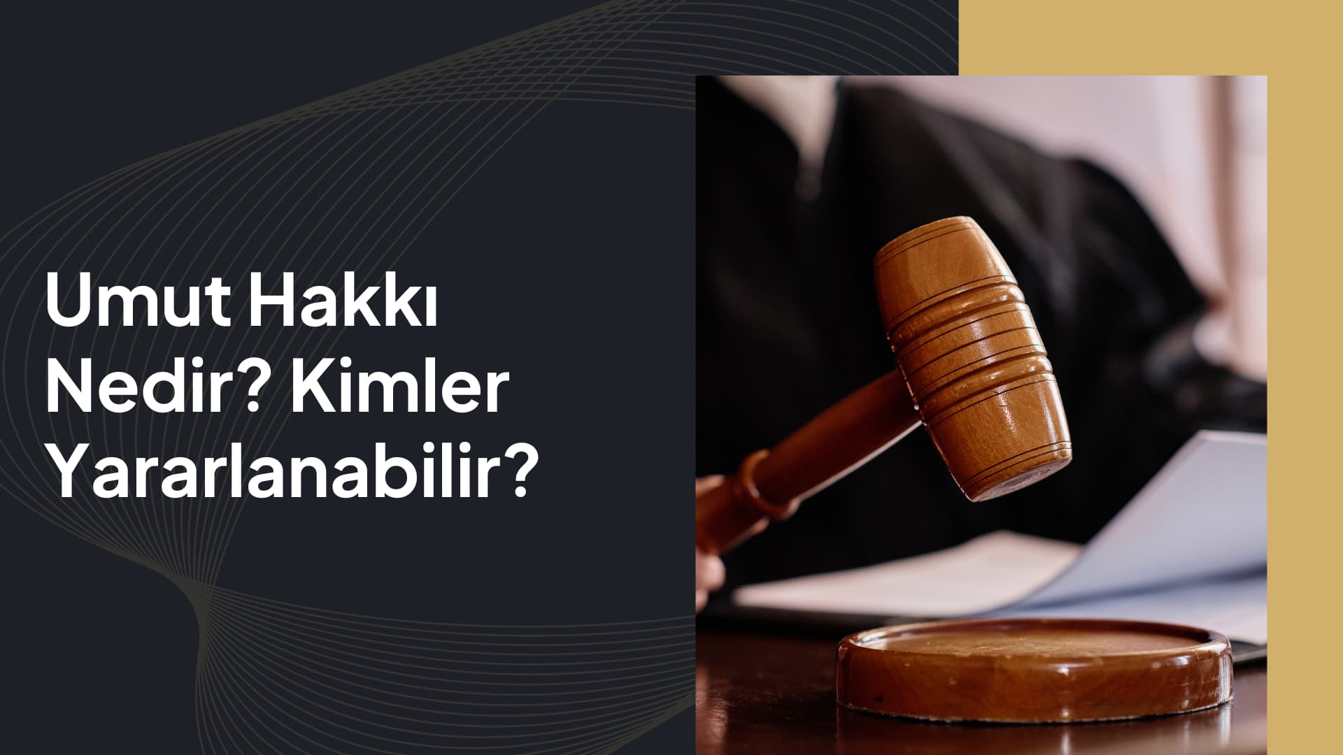 umut hakkı ne demek