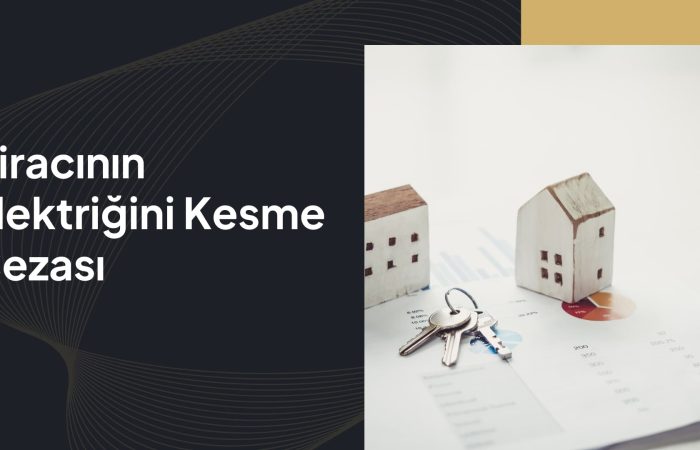 kiracının elektriğini kesme cezası